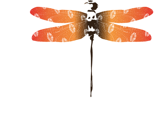 Knotty Scarves Jean-baptiste Belley